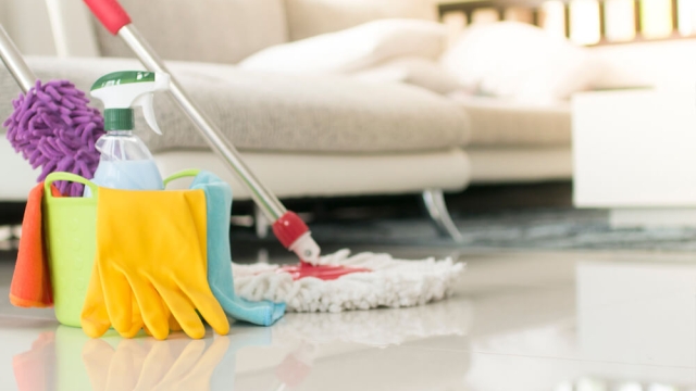 Sparkling Secrets: Unleashing the Magic of Domestic Cleaning
