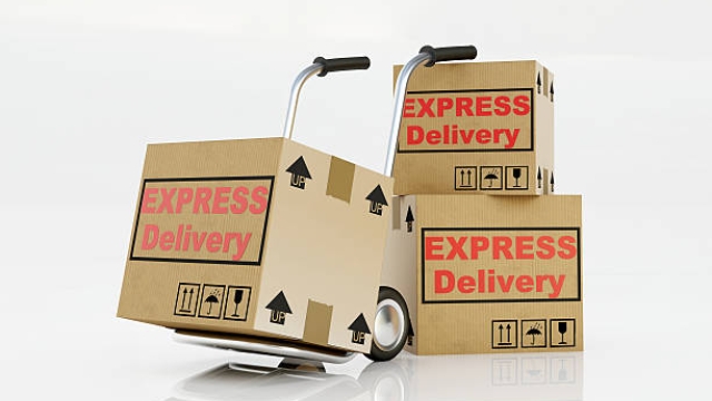 The Express Advantage: Unlocking the Secrets of Overnight Parcel Delivery