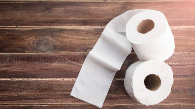 The Evolution of Toilet Paper: From Leaves to Luxury