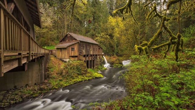 Unraveling the Rustic Charm: The Art of Crafting Log Homes