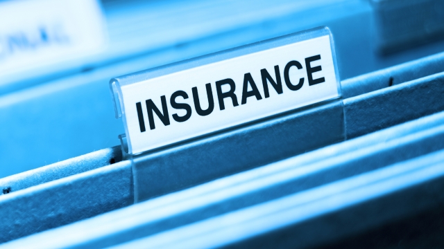 Insuring Your Business: A Guide to Workers Compensation, Business, and D&O Insurance