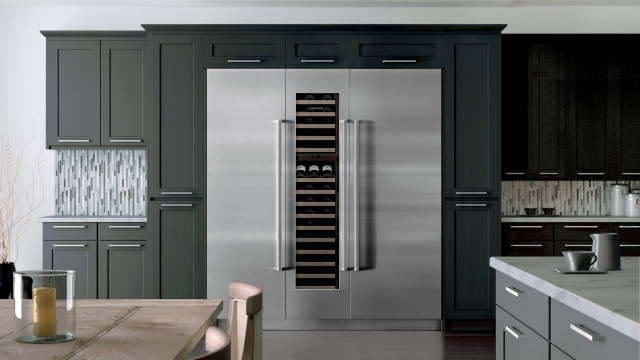 Chilling Elegance: Embracing the Power of Sub Zero Appliances and Freezers