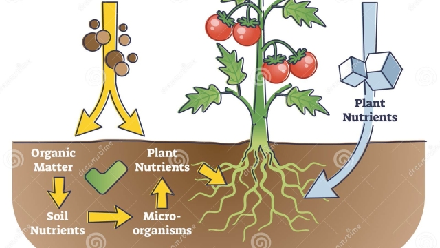 Unlocking the Power of Organic Soil and Fertilizer for Thriving Gardens