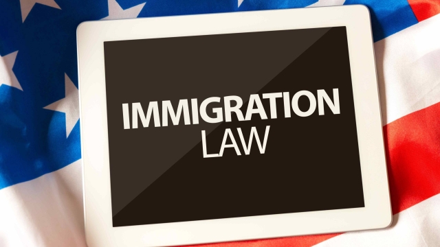 Unlocking the Puzzle: Navigating the Complexities of Immigration Law