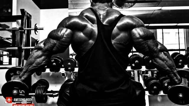 Muscle Mastery: Unleashing the Power of Bodybuilding