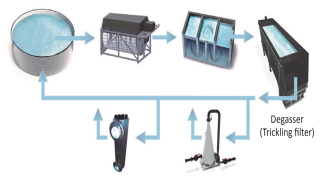 Revolutionizing the Waters: The Future of Aquaculture Technology