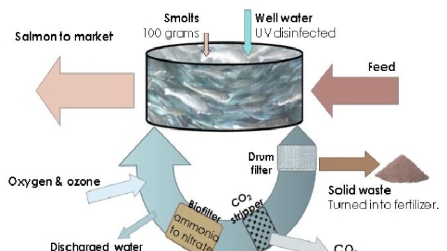 Revolutionizing the Waves: The Future of Aquaculture Technology